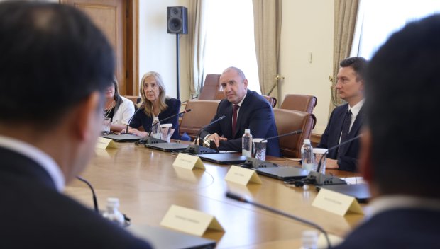 Румен Радев се срещна с ръководството на германската Федерална асоциация за икономическо развитие и външна търговия
