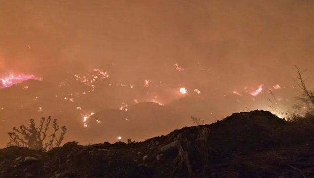 ГОЛЯМ ПОЖАР вилнее край Асеновград - 50 пожарникари се борят с огъня (СНИМКИ)