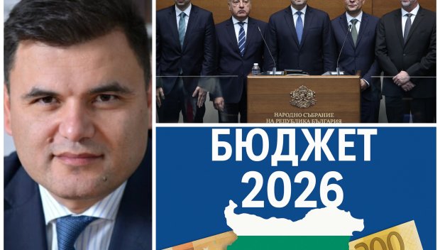 Икономист с подробна ДИСЕКЦИЯ на новия бюджет