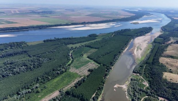 Рекордно ниски нива на Дунав, няколко кораба са заседнали