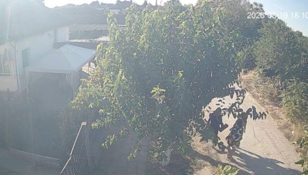 Полицията издирва две непълнолетни сестри от село Лехчево (СНИМКИ)