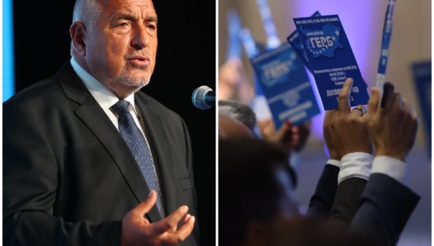 Пет точки ЗАЩО неиздигането на собствен кандидат за президент ще бъде груба политическа грешка за ГЕРБ