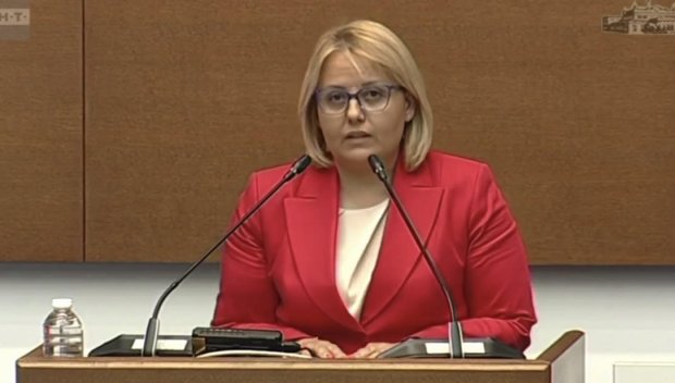 Айтен Сабри към Румен Радев: Какви са новите мерки, които набелязахте на Съвета по сигурност (ВИДЕО)
