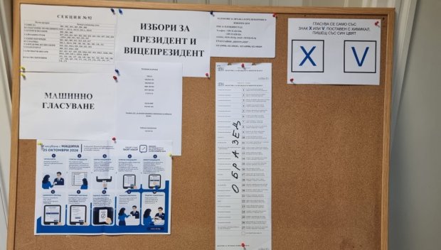 В САДОВО: Отстраниха зам.-председател на СИК заради расови обиди