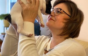 корнелия умилява електората кученце ред зайченцата котенцата патенцата