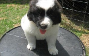 четириного удари джакпота куче получи завещание млн долара