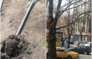 общината пловдив призова гражданите излизат вятърът изтръгва дървета кърти фасади