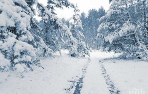 измериха ниските температури