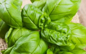 добрите етерични масла