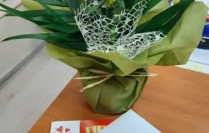 дадоха 1000 лева анушка първото бебе асеновград