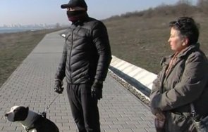 куче оцеля чудо подхвърлена отрова крайбрежната алея бургас