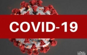 изследване разкриха какъв цветът молекулата covid