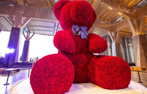 рекорд хил рози направиха метрово мече