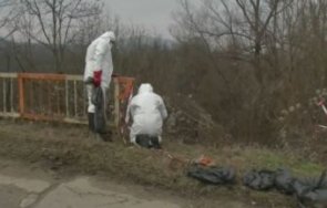 изхвърлиха 200 живи пилета реката ловеч