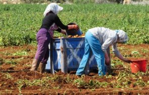 две години удължава срокът земеделски помощи