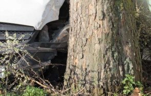 разследват катастрофа загинал плевен