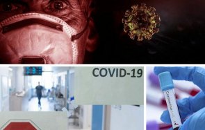 последни данни 733 случая covid нас починалите денонощието