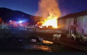 000 помощ отпускат възстановяване изгоряла овцеферма село пазарджишко