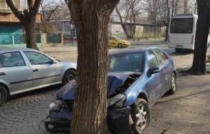 мерцедес разби дърво снимки