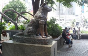 япония отбелязва смъртта хачико вярното куче света