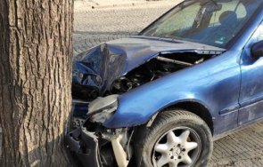 мерцедес разби дърво снимки