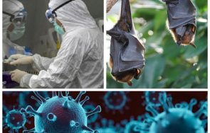 откриха родствени covid вируси китай