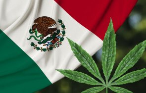мексико легализира марихуаната лични нужди