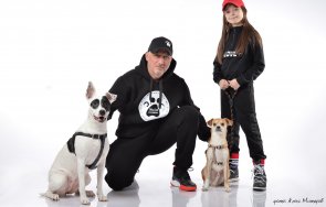 кандидат депутат марешки иска задължително обучение хуманно отношение животните училище