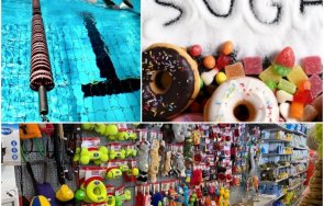 нап удари плувен център зоомагазин пловдив