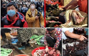 нощната забърка супата откривателят covid генома чака нов коронавирус китай