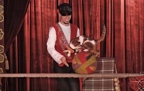 циркови артисти сезират комисията защита дискриминация