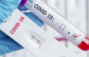 бременна осмия месец жена бобошево коронавирус