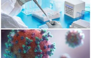 тревожно pcr тестовете ловят френския вариант covid