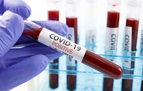 300 новозаразени коронавируса канада денонощие