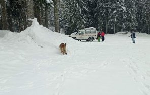 извънредно сноубордистът рила локализиран телефона намира лавина шансовете жив малки приятели спасителите помогнали прости устройства