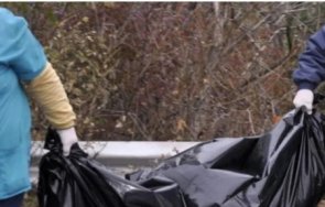 плъхове изгризаха трупа обесен пловдивско село