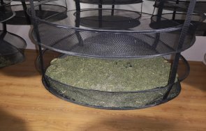 разбиха модерна нарколаборатория тетевенско снимки