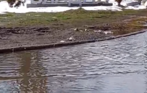 владая ловят риба огромна локва пътя