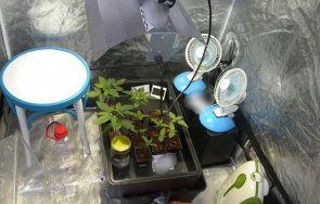 семейство нидерландци гледа дрога селска къща