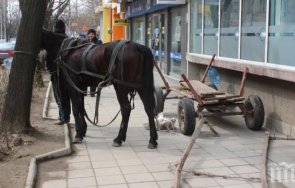 подплашен кон каруца сътвори екшън ракитово