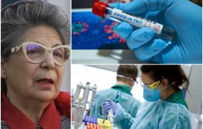 проф стоилова sars cov вписва общата характеристика респираторните вируси