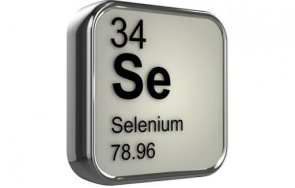 учени селенът пази затлъстяване удължи живота