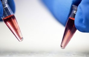 всеки британец прави два теста коронавирус седмично