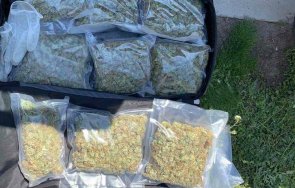 откриха оранжерия отглеждане марихуана наркотици оръжие русе