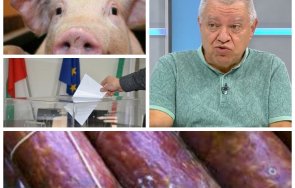 проф константинов изби рибата разпределението мандатите фабрика колбаси вкарвате прасета изкарвате колбаси