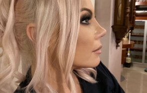 Камелия нов нос