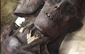 мистерия историята двуглавия гигант кап дуа все крие учените видео снимки