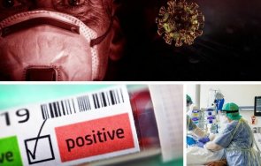 последни данни 556 случая covid нас починалите денонощието 116