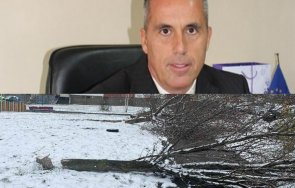 кметът люлин поголовна сеч квартала зелен тероризъм