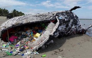 морето изхвърли два мъртви кита подозират натравяне пластмаса
